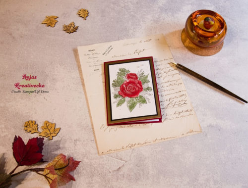 Buchkarte-Festtagsrose-Aussen-Flat
