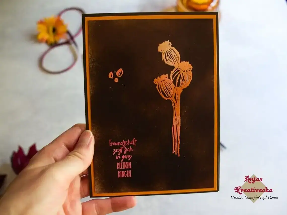 Josephs-Coat-Ganz-im-Augenblick-Vorderseite