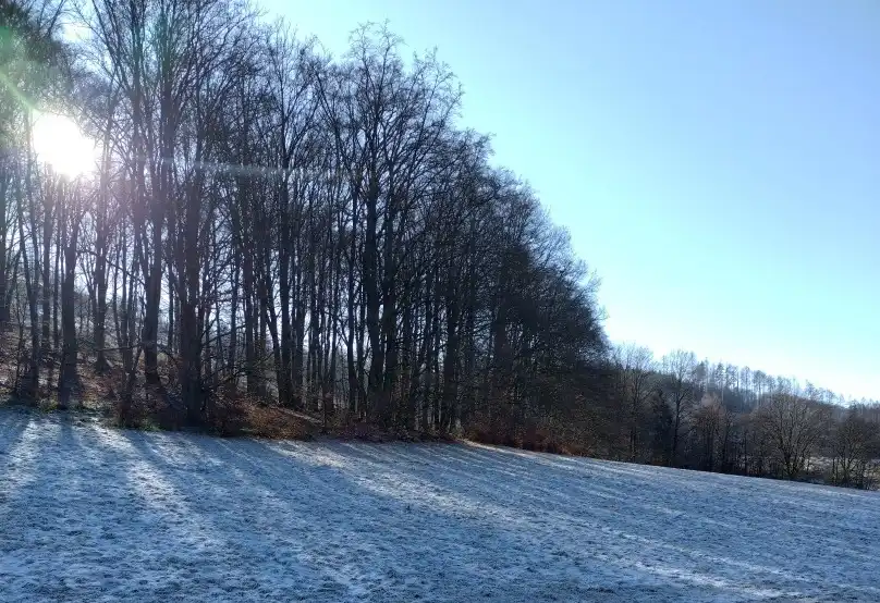 Jahresrueckblick 2025