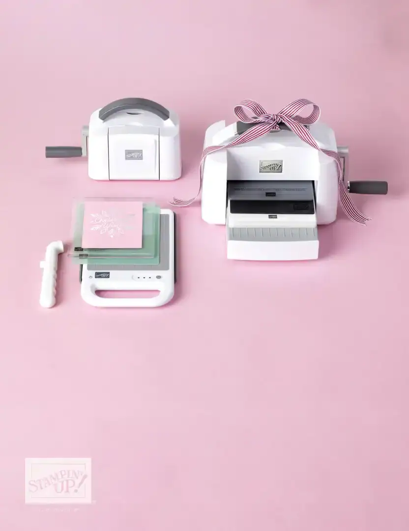 Stampin' Up! Stanzmaschine in klein und groß beim Stanzen und Prägen von Farndesigns